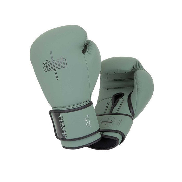 Боксерские перчатки Clinch C183 Mist 2.0 Green